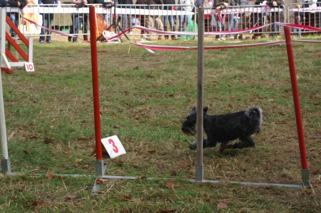 foire-haricots 2011-09-17et18